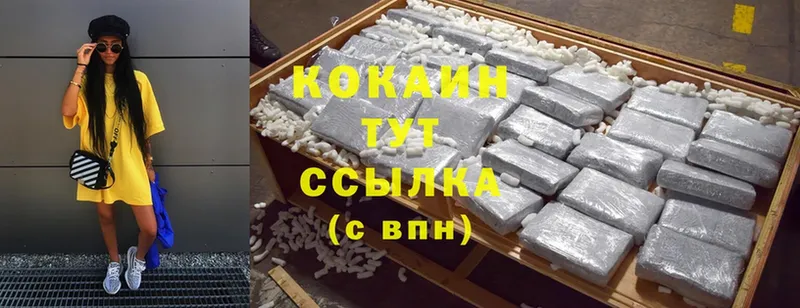 COCAIN Fish Scale  магазин  наркотиков  Болгар 